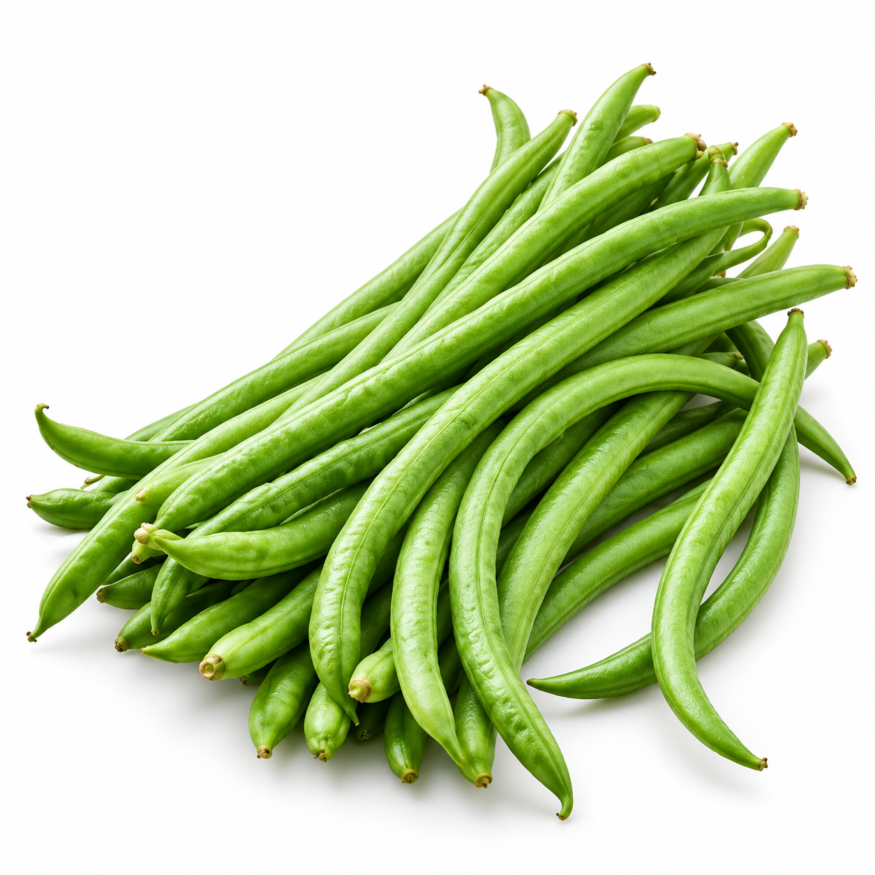 Cowpea Beans (ಅಲಸಂದೆ ಕಾಳು)