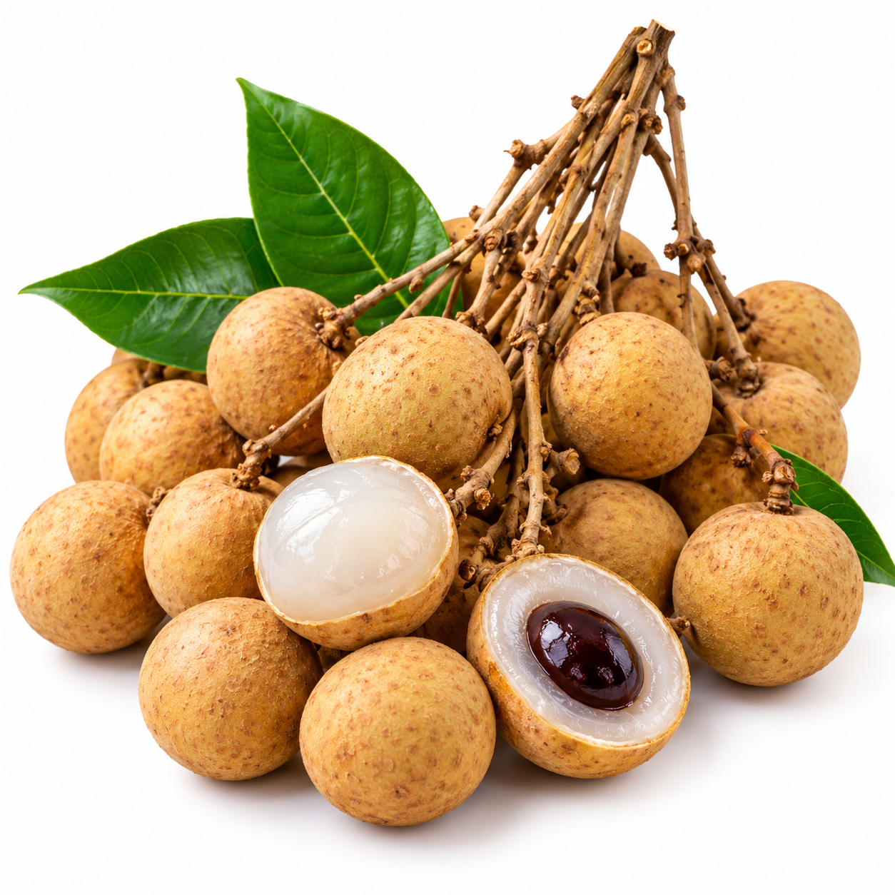 Longan Litchi